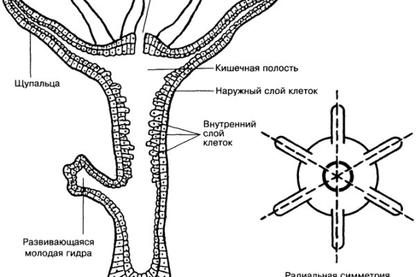 Восстановить аккаунт кракен